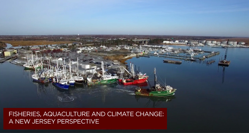 Fisheries and Climate Change