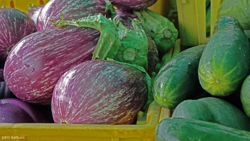 Fresh produce at the Hunterdon Land Trust Farmers Market in Flemington, NJ