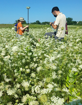 Rutgers-Duke Farms carbon mitigation research