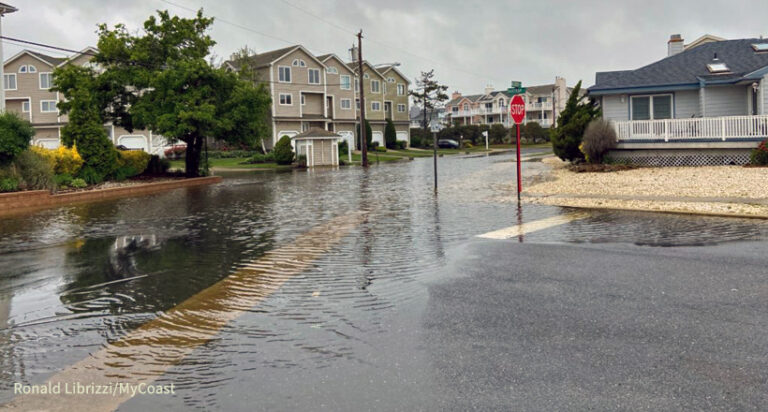 The Jersey Shore Is Sinking. Do We Want To Save It? – New Jersey ...