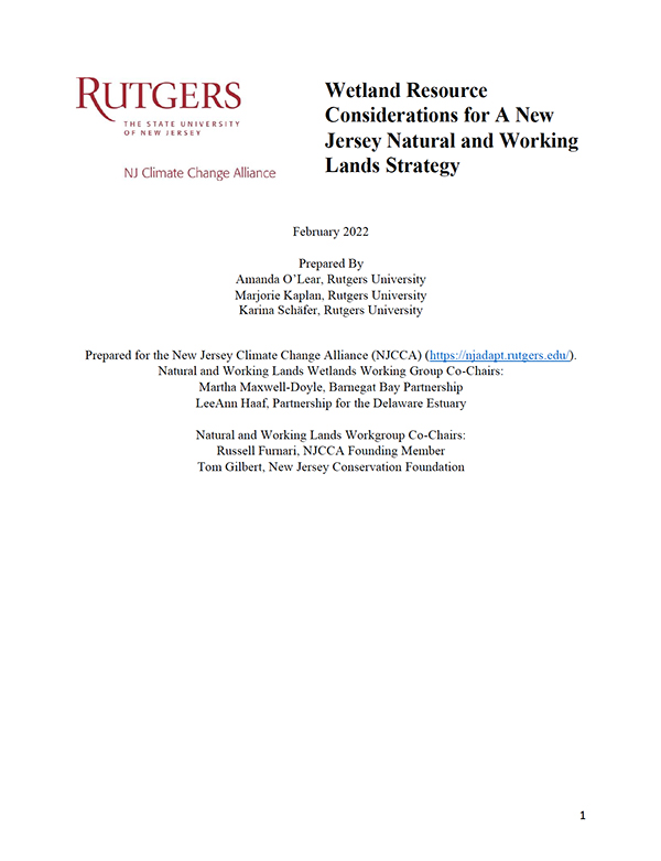 Wetland Resource Considerations for A New Jersey Natural and Working Lands Strategy