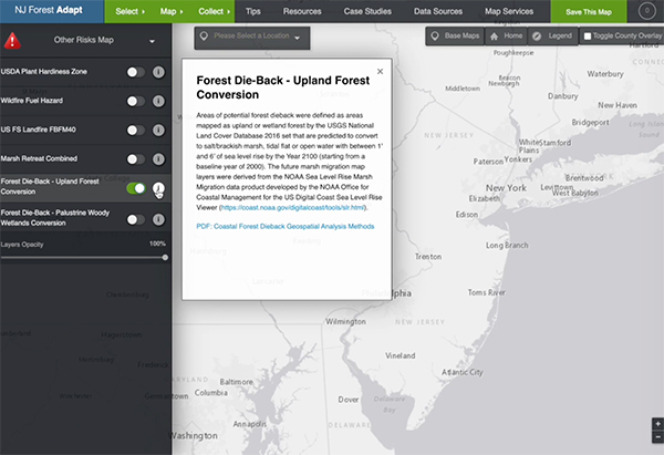 How to Access NJ Forest Adapt's Coastal Forest Dieback Geospatial Layers (Ghost Forests)