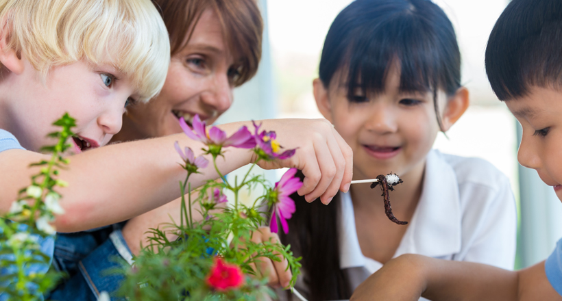 Schoolchildren study worm and plants