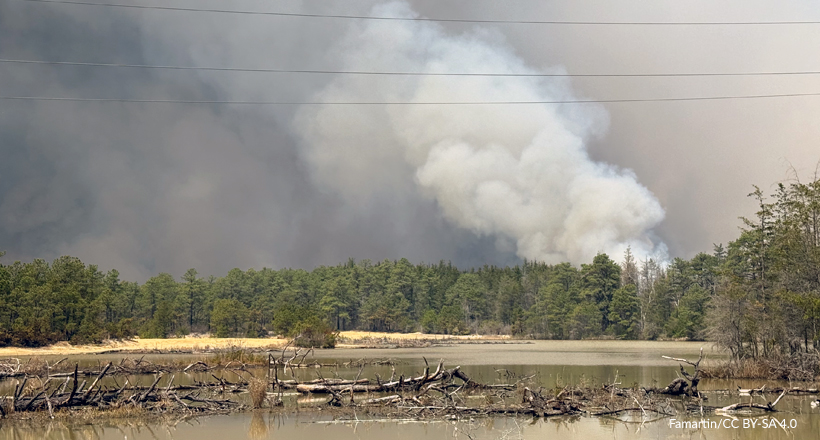 Smoke from Jones Road fire