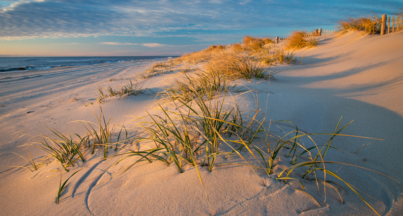 San dune at Beach Haven, NJ