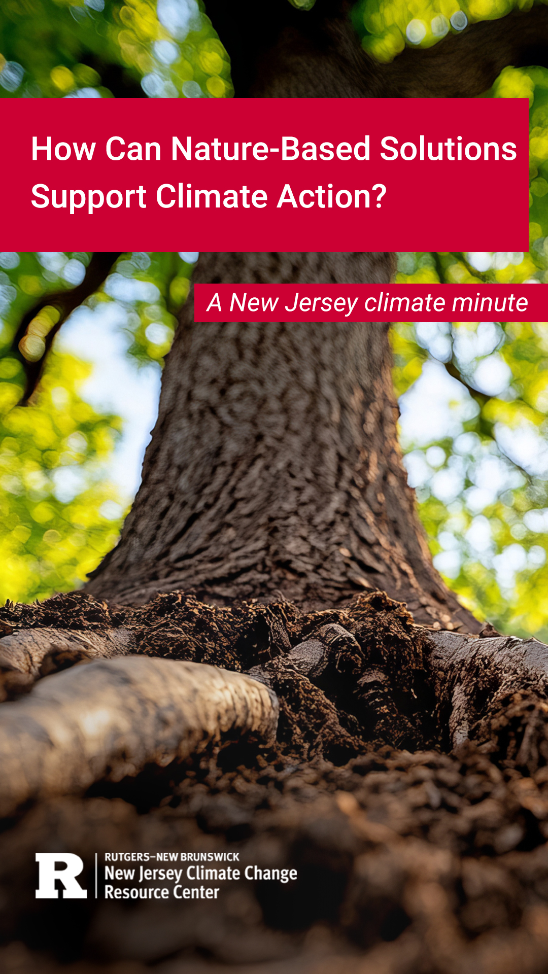 How can NBS support climate action?