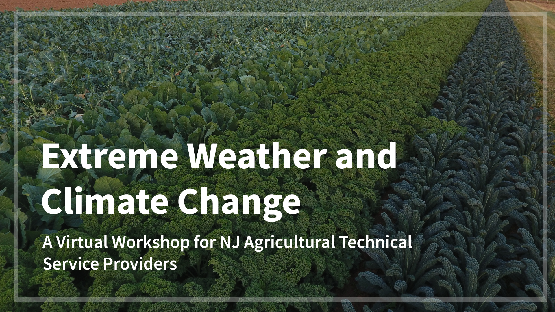 Extreme Weather and Climate Change