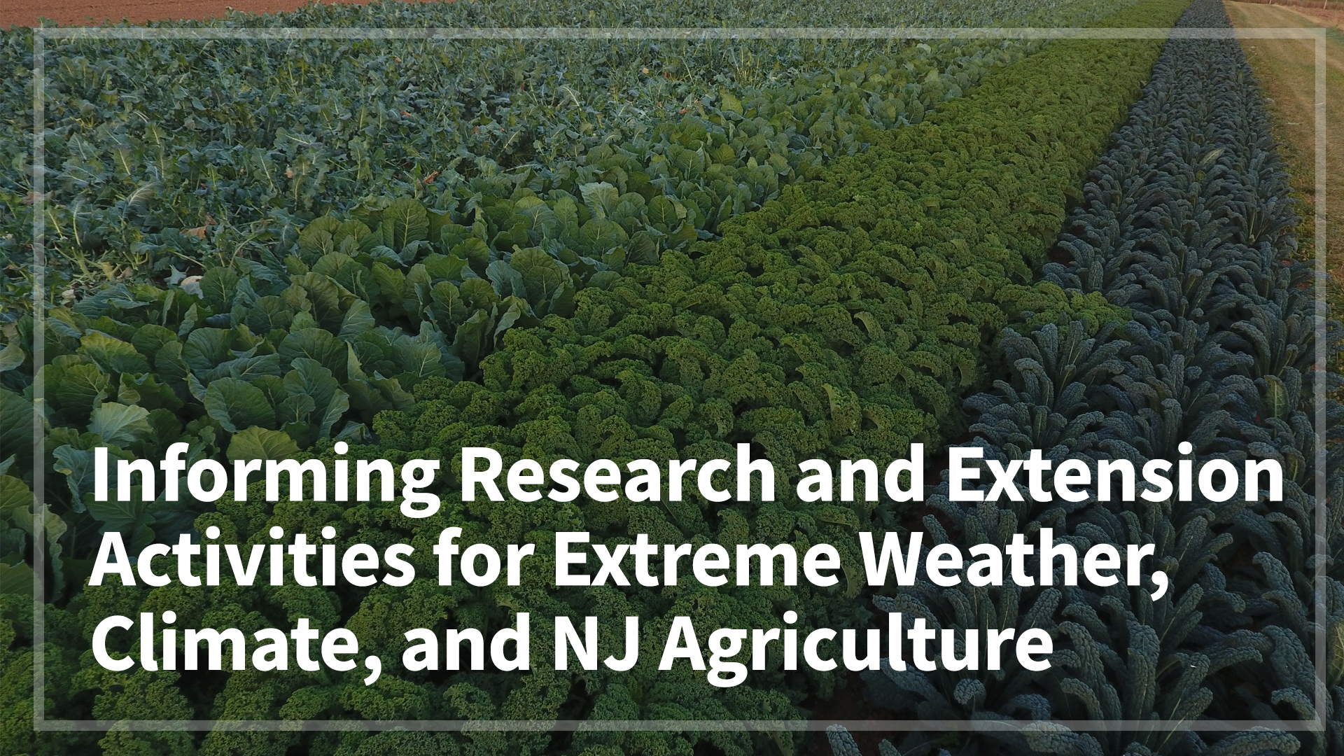 Informing Research and Extension Activities for Extreme Weather, Climate, and NJ Agriculture
