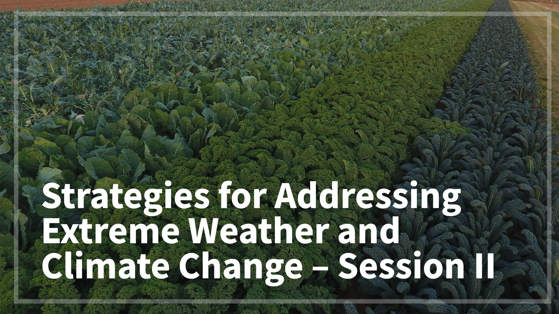 Strategies for Addressing Extreme Weather and Climate Change – Session II
