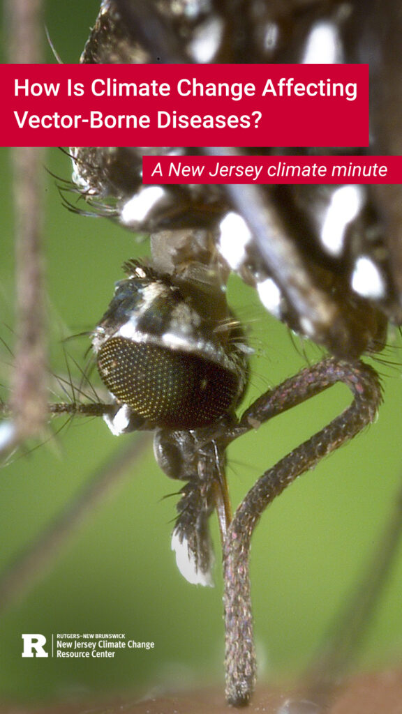 How Is Climate Change Affecting Vector-Borne Diseases? – New Jersey ...